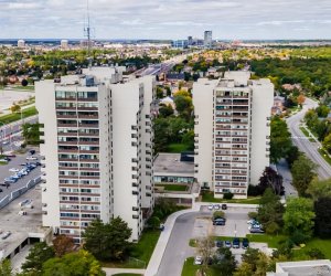 White Oaks