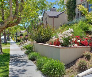 burlingame1