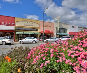 burlingame9